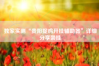 独家实测“贵阳捉鸡开挂辅助器”详细分享装挂