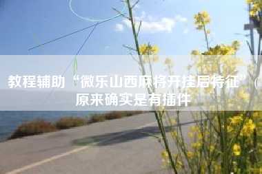 教程辅助“微乐山西麻将开挂后特征	”(原来确实是有插件