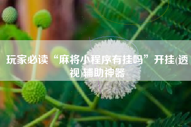 玩家必读“麻将小程序有挂吗”开挂(透视)辅助神器