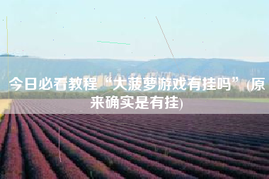 今日必看教程“大菠萝游戏有挂吗	”(原来确实是有挂)
