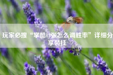 玩家必搜“掌酷13张怎么调胜率”详细分享装挂