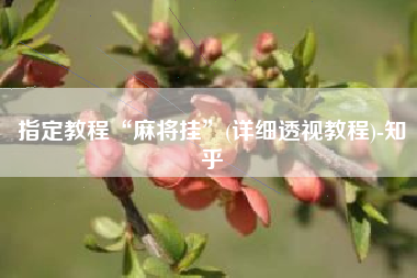 指定教程“麻将挂”(详细透视教程)-知乎