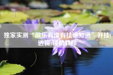 独家实测“微乐有没有挂谁知道”开挂(透视)辅助教程