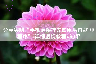 分享实测“手机麻将挂先试用后付款 小程序	”(详细透视教程)-知乎