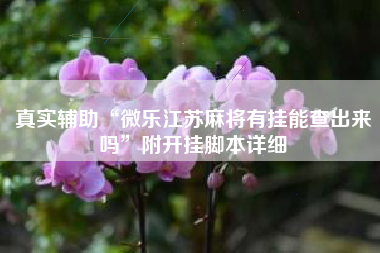 真实辅助“微乐江苏麻将有挂能查出来吗”附开挂脚本详细