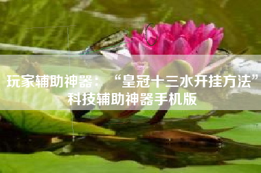 玩家辅助神器：“皇冠十三水开挂方法	”科技辅助神器手机版
