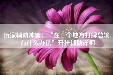 玩家辅助神器：“在一个地方打牌总输,有什么办法”开挂辅助详细