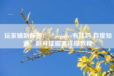 玩家辅助神器：“wepoker有挂吗 百度知道	”附开挂脚本详细教程