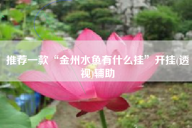 推荐一款“金州水鱼有什么挂”开挂(透视)辅助