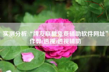 实测分析“牌友联盟免费辅助软件网址”作弊(透视)透视辅助