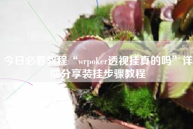 今日必看教程“wrpoker透视挂真的吗”详细分享装挂步骤教程