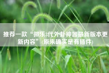 推荐一款“微乐3代外卦神器最新版本更新内容”(原来确实是有插件)