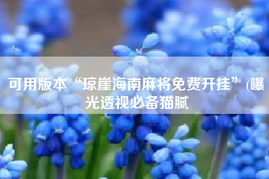 可用版本“琼崖海南麻将免费开挂”(曝光透视必备猫腻