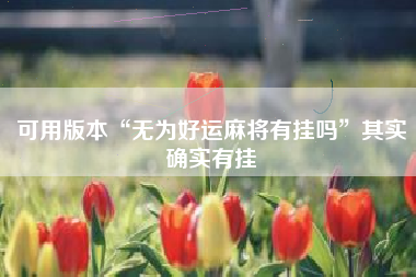 可用版本“无为好运麻将有挂吗”其实确实有挂
