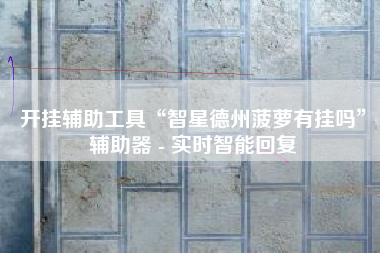 开挂辅助工具“智星德州菠萝有挂吗”辅助器 - 实时智能回复