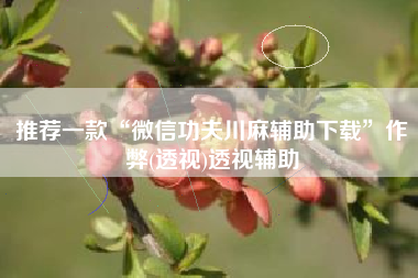 推荐一款“微信功夫川麻辅助下载”作弊(透视)透视辅助