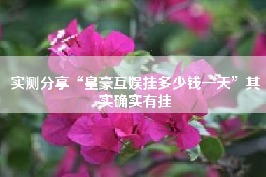 实测分享“皇豪互娱挂多少钱一天	”其实确实有挂