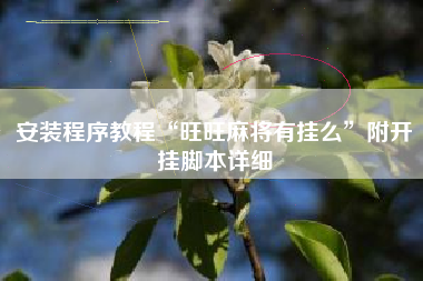 安装程序教程“旺旺麻将有挂么	”附开挂脚本详细
