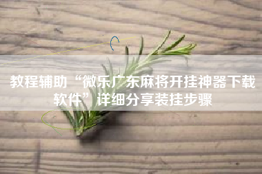 教程辅助“微乐广东麻将开挂神器下载软件”详细分享装挂步骤