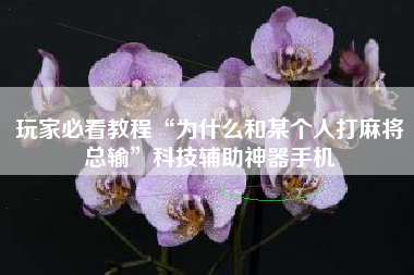 玩家必看教程“为什么和某个人打麻将总输”科技辅助神器手机