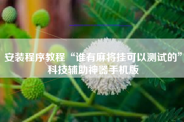 安装程序教程“谁有麻将挂可以测试的	”科技辅助神器手机版
