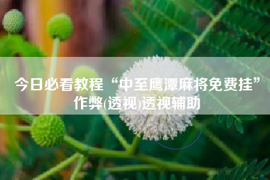 今日必看教程“中至鹰潭麻将免费挂	”作弊(透视)透视辅助