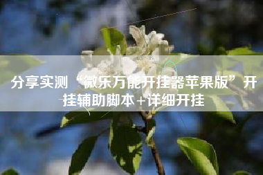 分享实测“微乐万能开挂器苹果版	”开挂辅助脚本+详细开挂