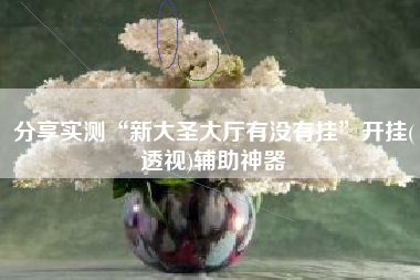 分享实测“新大圣大厅有没有挂	”开挂(透视)辅助神器