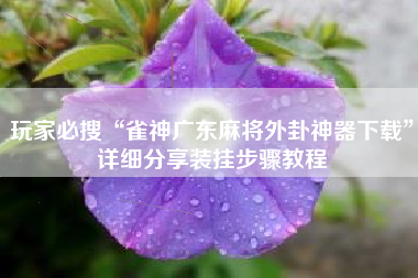 玩家必搜“雀神广东麻将外卦神器下载”详细分享装挂步骤教程