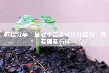教程分享“皇冠十三水可以开挂吗”其实确实有挂