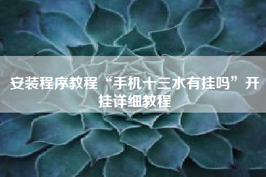 安装程序教程“手机十三水有挂吗”开挂详细教程