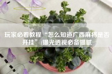 玩家必看教程“怎么知道广西麻将是否开挂	”(曝光透视必备猫腻