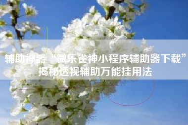 辅助神器“微乐雀神小程序辅助器下载”揭秘透视辅助万能挂用法