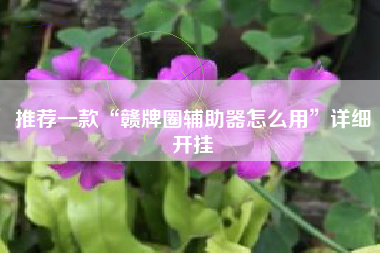 推荐一款“赣牌圈辅助器怎么用	”详细开挂