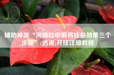 辅助神器“河南红中麻将挂最简单三个步骤”(透视)开挂详细教程