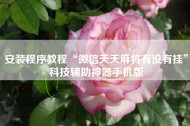 安装程序教程“微信天天麻将有没有挂”科技辅助神器手机版