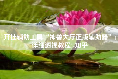 开挂辅助工具“神兽大厅正版辅助器	”(详细透视教程)-知乎