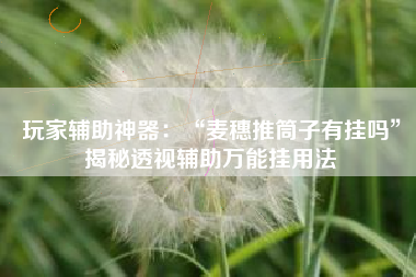 玩家辅助神器：“麦穗推筒子有挂吗”揭秘透视辅助万能挂用法