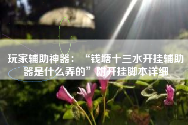 玩家辅助神器：“钱塘十三水开挂辅助器是什么弄的”附开挂脚本详细