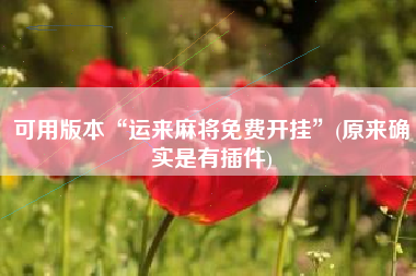 可用版本“运来麻将免费开挂”(原来确实是有插件)