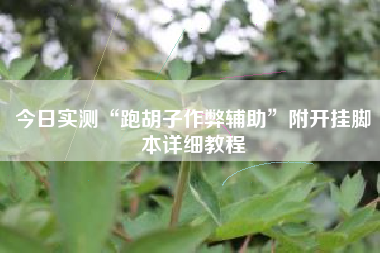 今日实测“跑胡子作弊辅助”附开挂脚本详细教程