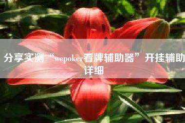 分享实测“wepoker看牌辅助器”开挂辅助详细