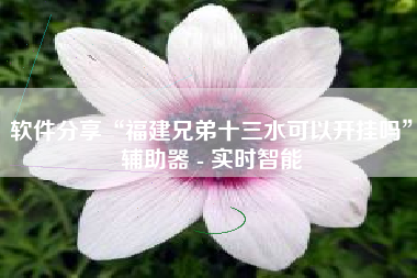 软件分享“福建兄弟十三水可以开挂吗”辅助器 - 实时智能