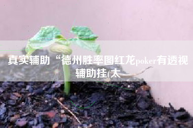 真实辅助“德州胜率图红龙poker有透视辅助挂(太