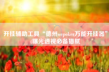 开挂辅助工具“德州wepoker万能开挂器”(曝光透视必备猫腻