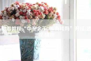 必看教程“中至余干510k有挂吗”开挂(透视)辅助