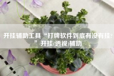 开挂辅助工具“打牌软件到底有没有挂?	”开挂(透视)辅助
