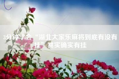 3分钟学会“湖北大家乐麻将到底有没有挂	”其实确实有挂