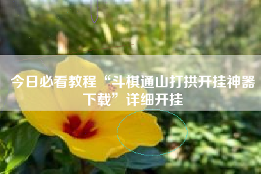 今日必看教程“斗棋通山打拱开挂神器下载	”详细开挂