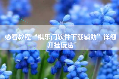 必看教程“棋乐门软件下载辅助”详细开挂玩法